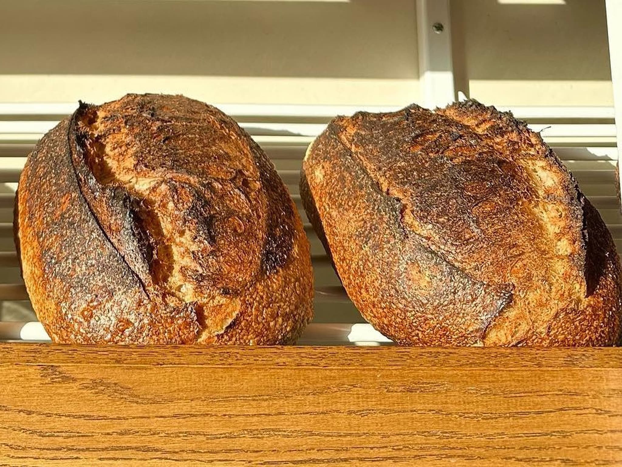 Country Sourdough