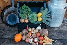 Image of Veg Box - Medium