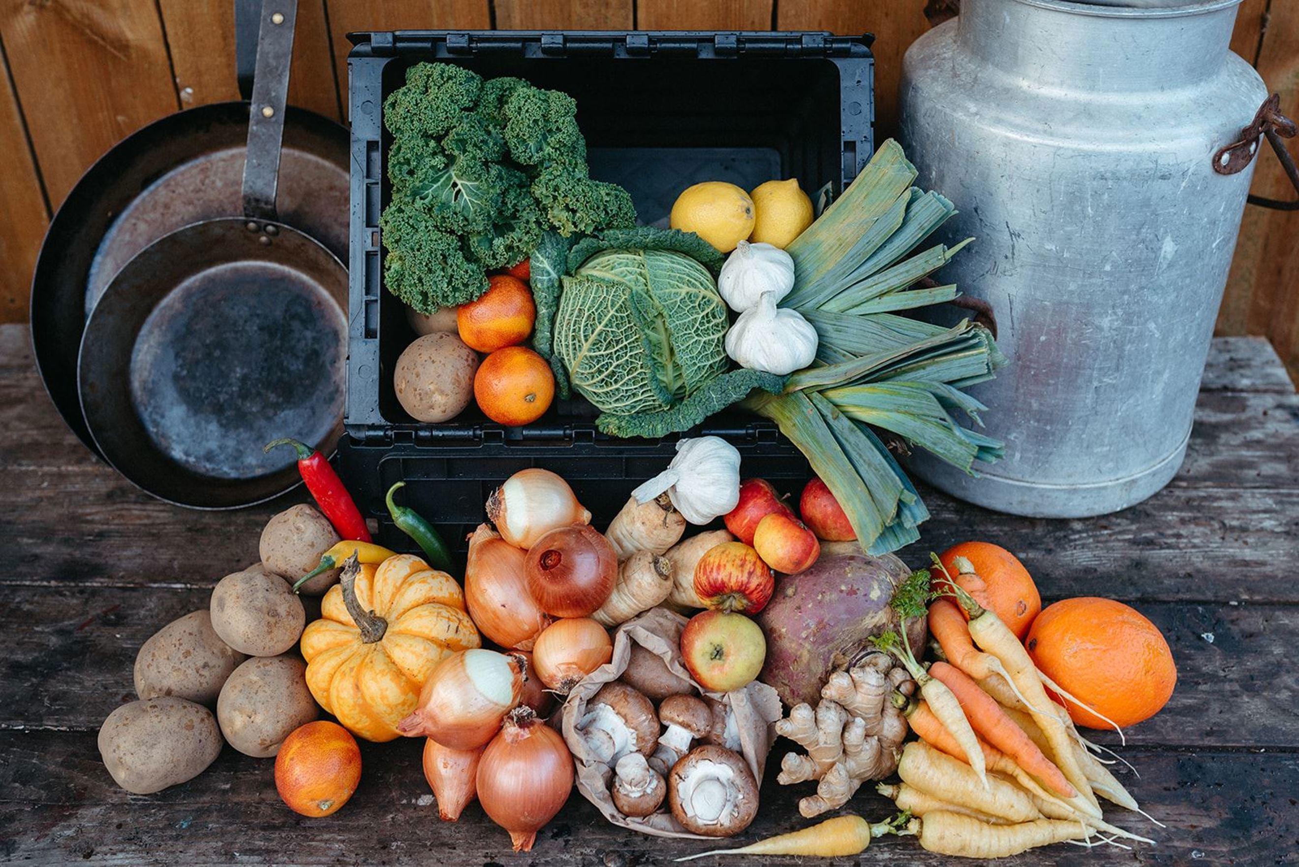 Organic Veg Boxes